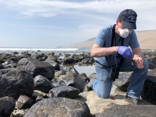 A person on a rocky beach.