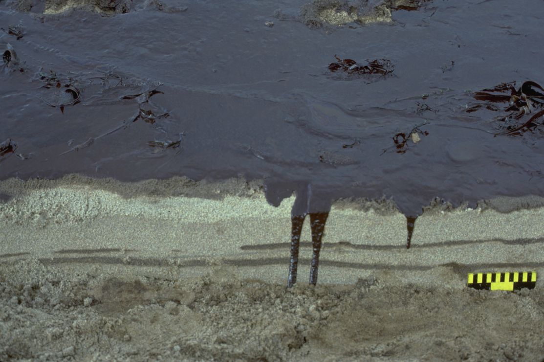 Photo showing a solid section of oil on sand.