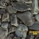 Photo: Large rocks with splotches of oil.